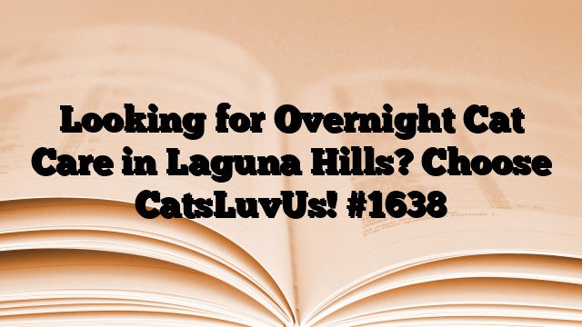 Looking for Overnight Cat Care in Laguna Hills? Choose CatsLuvUs!