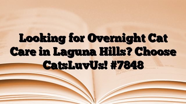 Looking for Overnight Cat Care in Laguna Hills? Choose CatsLuvUs!