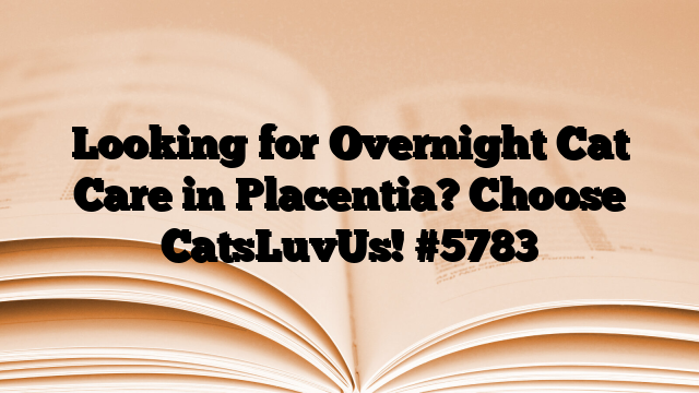 Looking for Overnight Cat Care in Placentia? Choose CatsLuvUs!