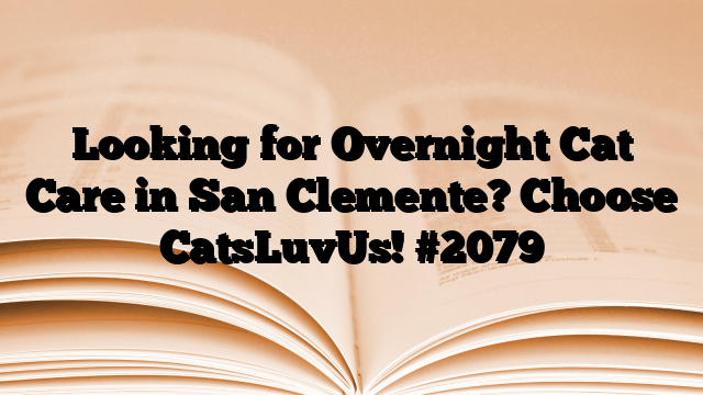 Looking for Overnight Cat Care in San Clemente? Choose CatsLuvUs!
