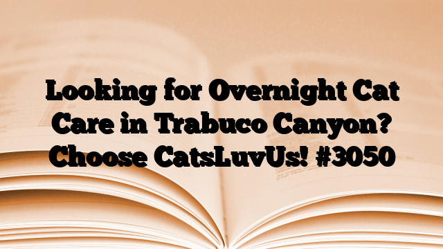 Looking for Overnight Cat Care in Trabuco Canyon? Choose CatsLuvUs!