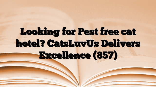 Looking for Pest free cat hotel? CatsLuvUs Delivers Excellence