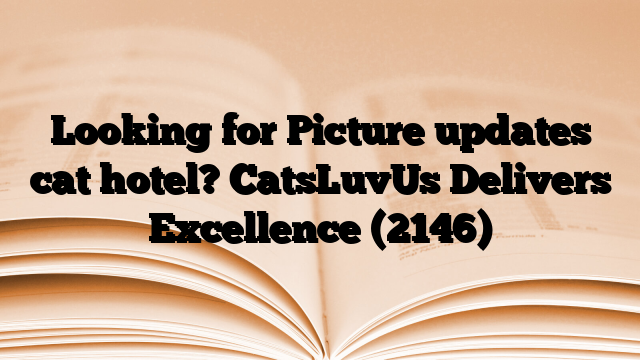 Looking for Picture updates cat hotel? CatsLuvUs Delivers Excellence