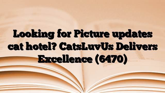 Looking for Picture updates cat hotel? CatsLuvUs Delivers Excellence