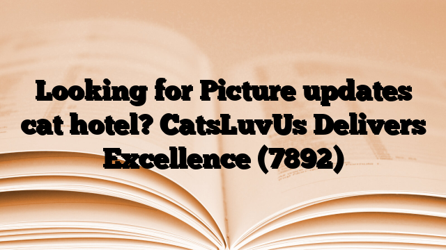 Looking for Picture updates cat hotel? CatsLuvUs Delivers Excellence