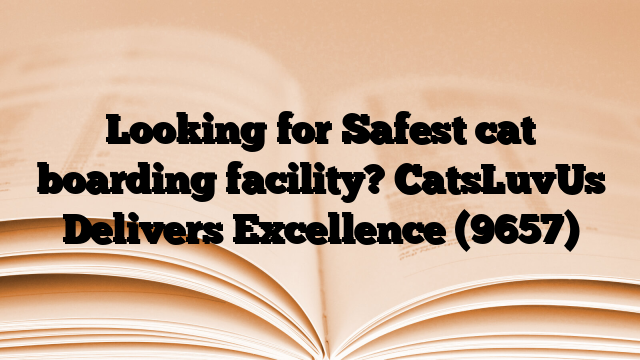 Looking for Safest cat boarding facility? CatsLuvUs Delivers Excellence