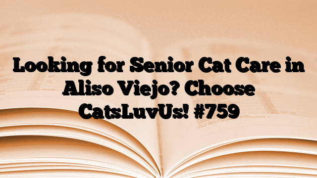 Looking for Senior Cat Care in Aliso Viejo? Choose CatsLuvUs!