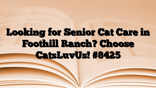 Looking for Senior Cat Care in Foothill Ranch? Choose CatsLuvUs!