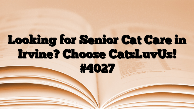 Looking for Senior Cat Care in Irvine? Choose CatsLuvUs!