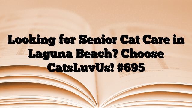 Looking for Senior Cat Care in Laguna Beach? Choose CatsLuvUs!