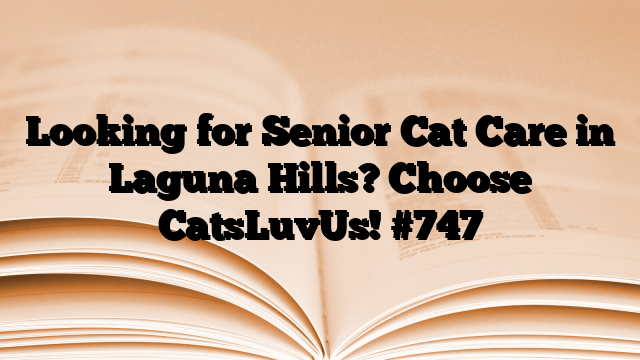 Looking for Senior Cat Care in Laguna Hills? Choose CatsLuvUs!