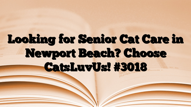 Looking for Senior Cat Care in Newport Beach? Choose CatsLuvUs!