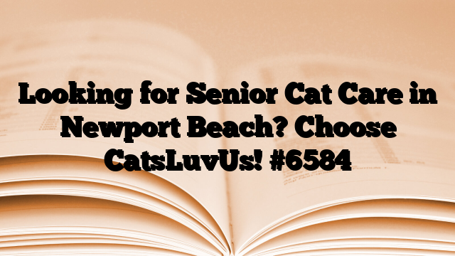 Looking for Senior Cat Care in Newport Beach? Choose CatsLuvUs!