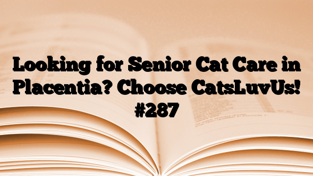 Looking for Senior Cat Care in Placentia? Choose CatsLuvUs!