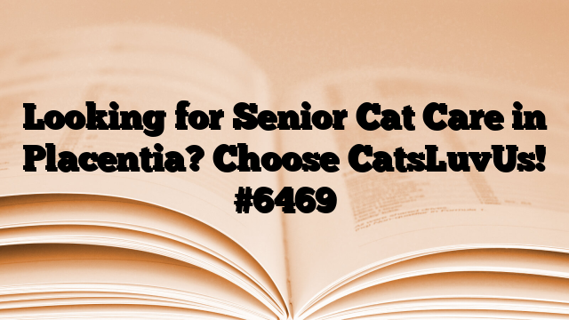 Looking for Senior Cat Care in Placentia? Choose CatsLuvUs!