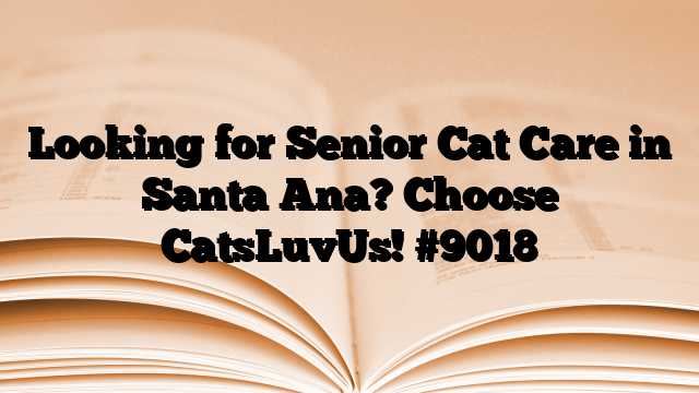 Looking for Senior Cat Care in Santa Ana? Choose CatsLuvUs!