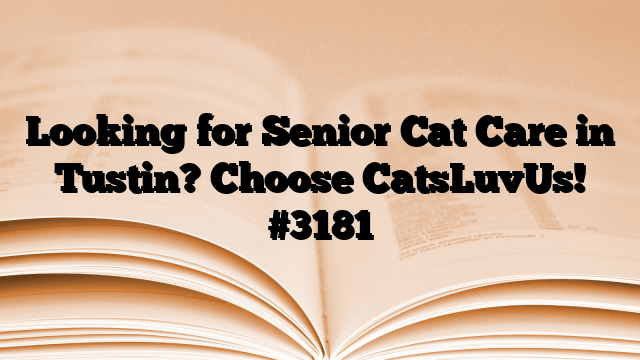 Looking for Senior Cat Care in Tustin? Choose CatsLuvUs!