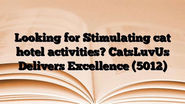 Looking for Stimulating cat hotel activities? CatsLuvUs Delivers Excellence