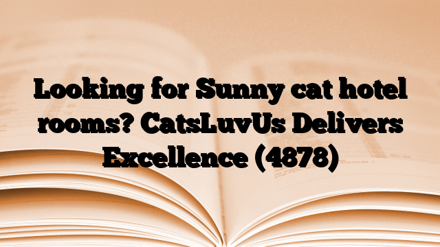 Looking for Sunny cat hotel rooms? CatsLuvUs Delivers Excellence
