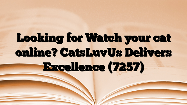 Looking for Watch your cat online? CatsLuvUs Delivers Excellence