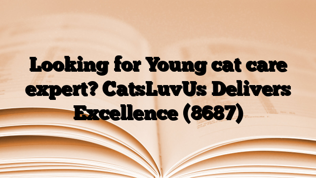 Looking for Young cat care expert? CatsLuvUs Delivers Excellence