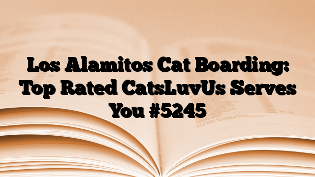 Los Alamitos Cat Boarding: Top Rated CatsLuvUs Serves You