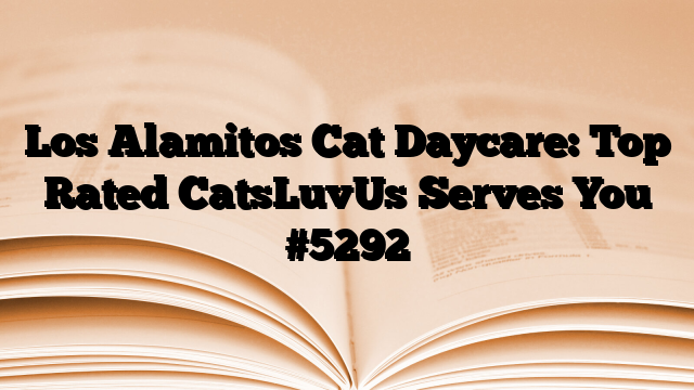 Los Alamitos Cat Daycare: Top Rated CatsLuvUs Serves You