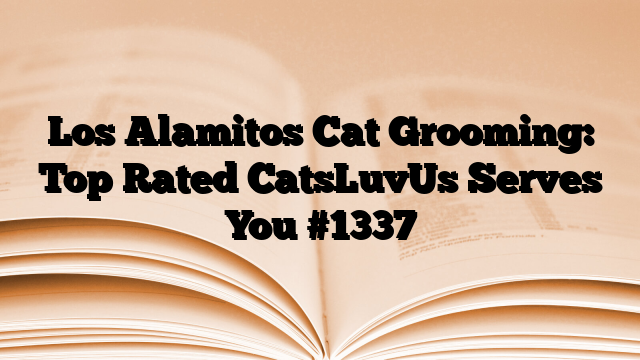 Los Alamitos Cat Grooming: Top Rated CatsLuvUs Serves You