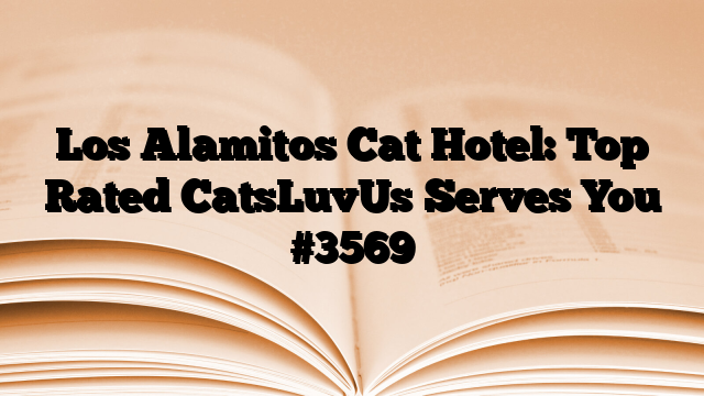 Los Alamitos Cat Hotel: Top Rated CatsLuvUs Serves You