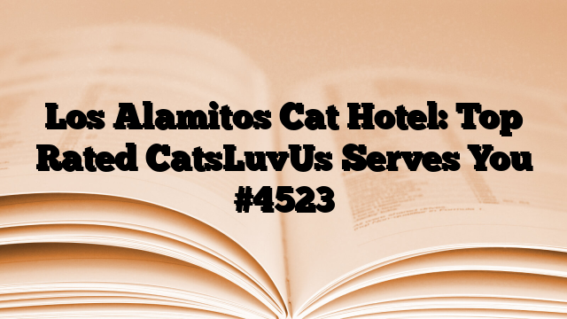 Los Alamitos Cat Hotel: Top Rated CatsLuvUs Serves You