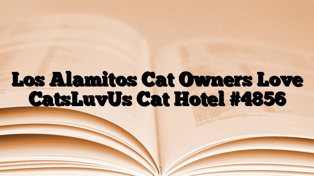 Los Alamitos Cat Owners Love CatsLuvUs Cat Hotel