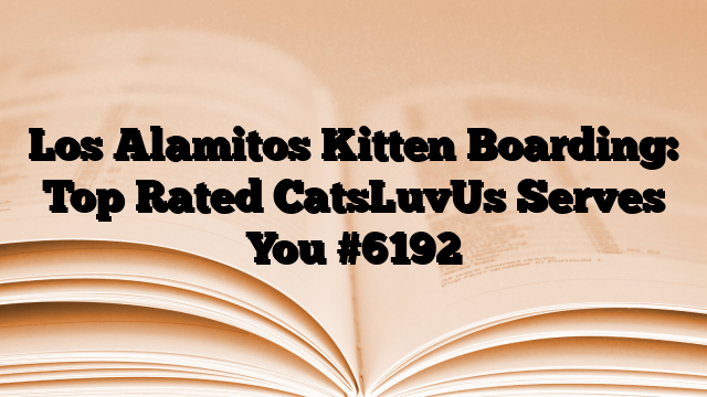 Los Alamitos Kitten Boarding: Top Rated CatsLuvUs Serves You