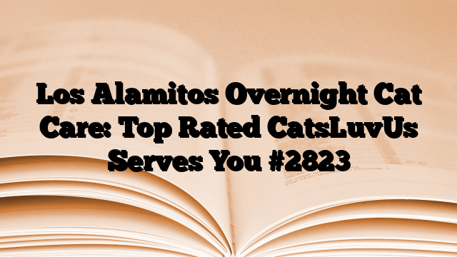 Los Alamitos Overnight Cat Care: Top Rated CatsLuvUs Serves You