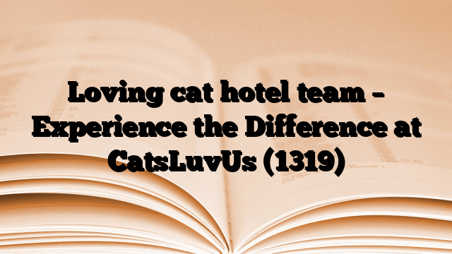Loving cat hotel team – Experience the Difference at CatsLuvUs