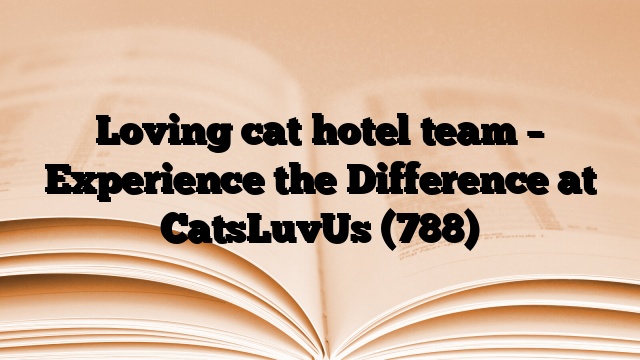 Loving cat hotel team – Experience the Difference at CatsLuvUs