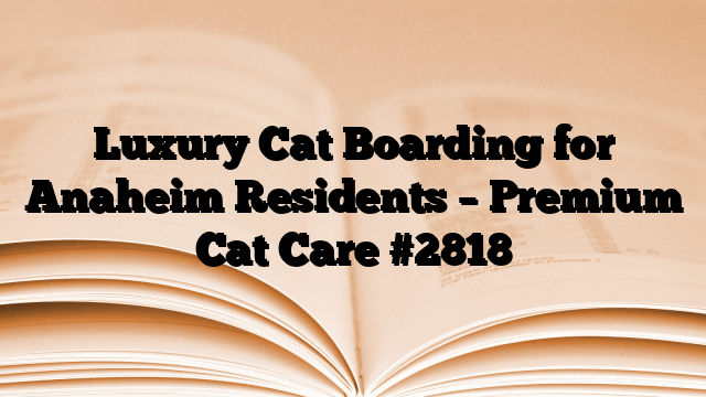 Luxury Cat Boarding for Anaheim Residents – Premium Cat Care