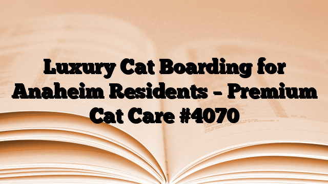Luxury Cat Boarding for Anaheim Residents – Premium Cat Care