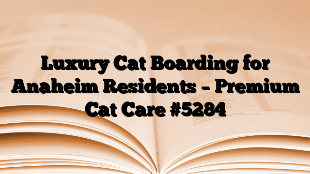 Luxury Cat Boarding for Anaheim Residents – Premium Cat Care