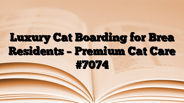 Luxury Cat Boarding for Brea Residents – Premium Cat Care