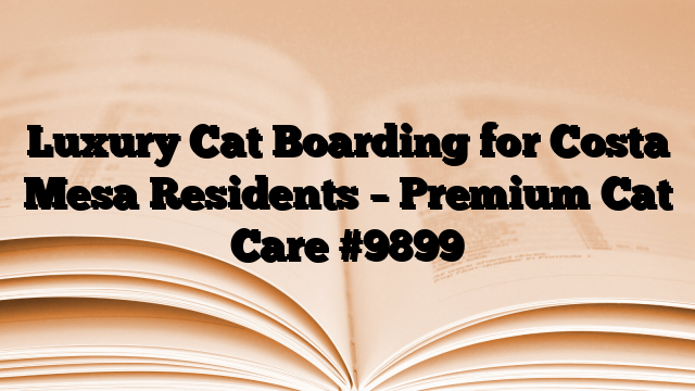 Luxury Cat Boarding for Costa Mesa Residents – Premium Cat Care