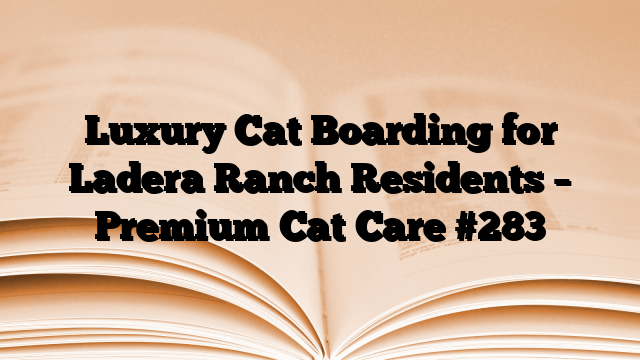Luxury Cat Boarding for Ladera Ranch Residents – Premium Cat Care
