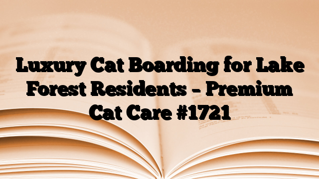 Luxury Cat Boarding for Lake Forest Residents – Premium Cat Care