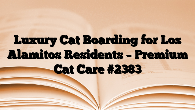 Luxury Cat Boarding for Los Alamitos Residents – Premium Cat Care