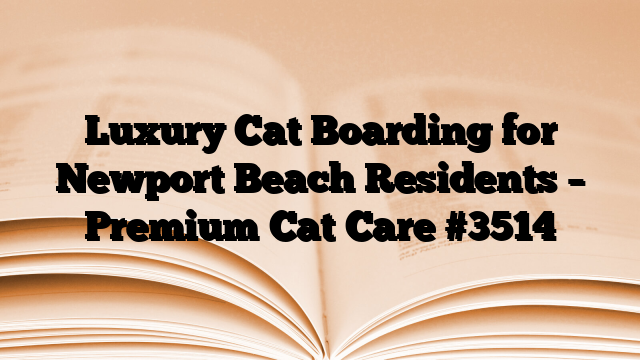 Luxury Cat Boarding for Newport Beach Residents – Premium Cat Care