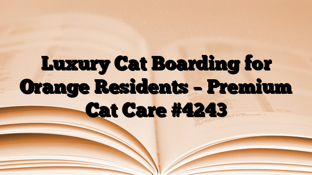 Luxury Cat Boarding for Orange Residents – Premium Cat Care