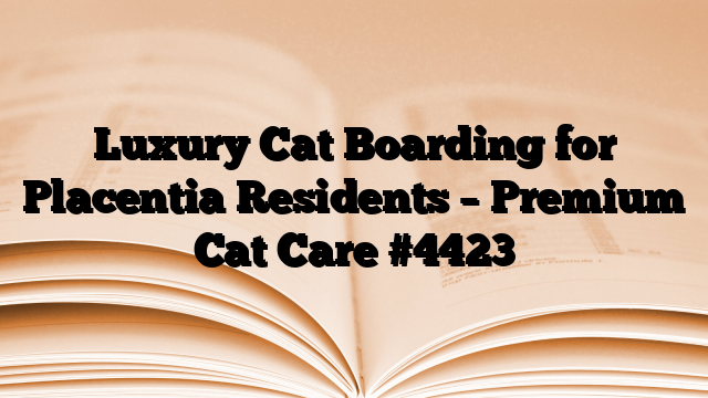Luxury Cat Boarding for Placentia Residents – Premium Cat Care