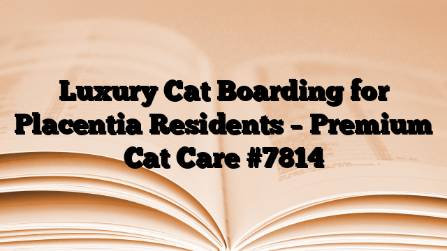 Luxury Cat Boarding for Placentia Residents – Premium Cat Care