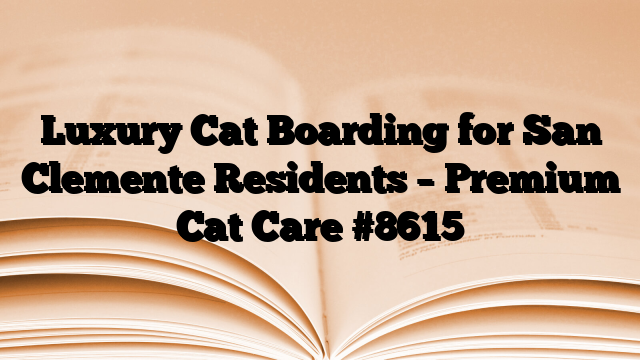 Luxury Cat Boarding for San Clemente Residents – Premium Cat Care