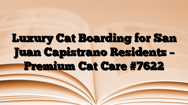 Luxury Cat Boarding for San Juan Capistrano Residents – Premium Cat Care