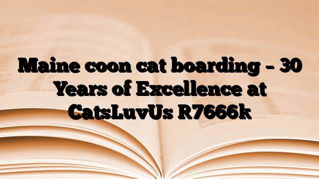 Maine coon cat boarding – 30 Years of Excellence at CatsLuvUs
